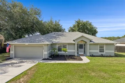 MINNEOLA FL Home