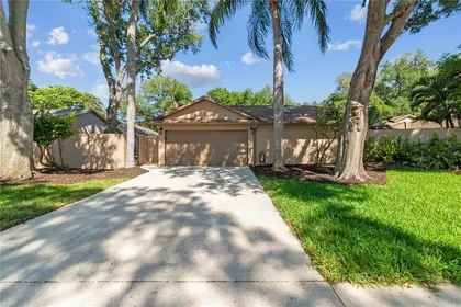 PALM HARBOR FL Home
