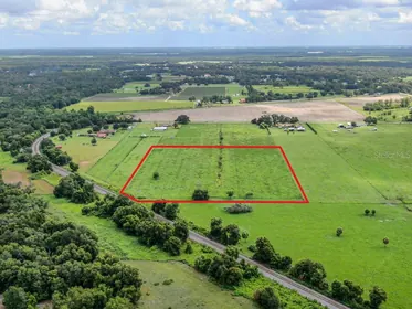 LITHIA FL Property