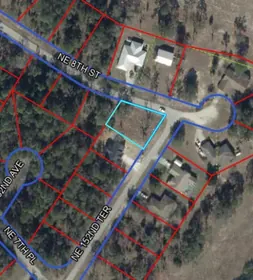 WILLISTON FL Property