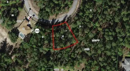 HOMOSASSA FL Property