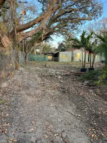 DOVER FL Property