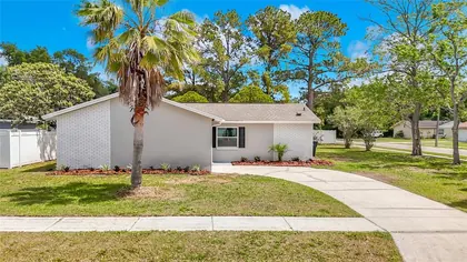 TAMPA FL Home
