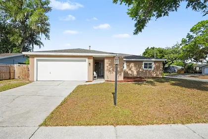 VALRICO FL Home