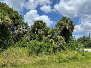 NORTH PORT FL Property