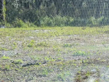 MULBERRY FL Property