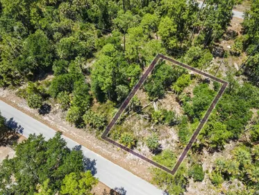 PORT CHARLOTTE FL Property