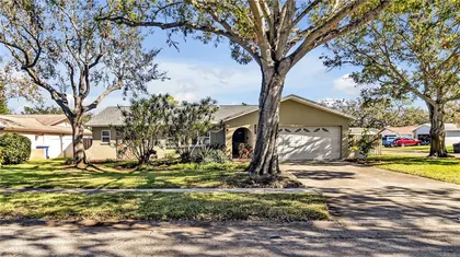 ST PETERSBURG FL Home