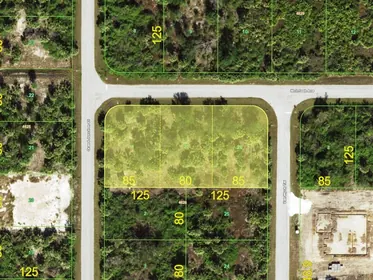PORT CHARLOTTE FL Property