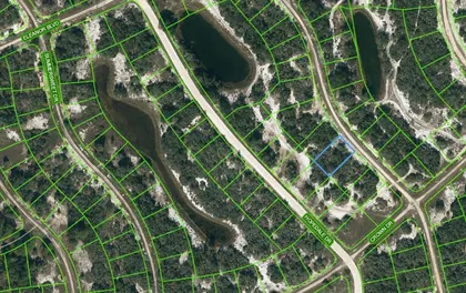 LAKE PLACID FL Property