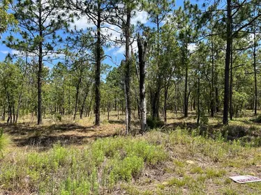 DUNNELLON FL Property