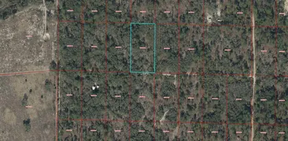 MORRISTON FL Property