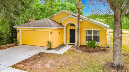 DAVENPORT FL Home