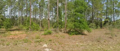 DUNNELLON FL Property