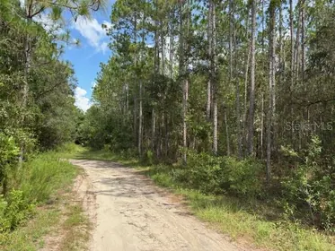 DUNNELLON FL Property
