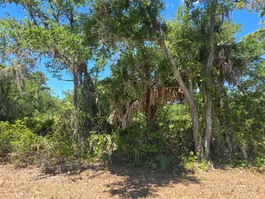 PORT CHARLOTTE FL Property