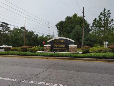 CITRUS SPRINGS FL Property