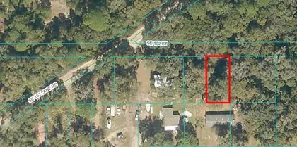 UMATILLA FL Property