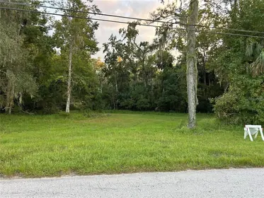 ASTOR FL Property