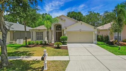 WESLEY CHAPEL FL Home