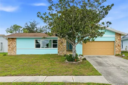 SAFETY HARBOR FL Home