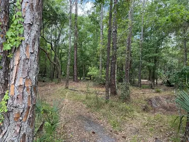OSTEEN FL Property