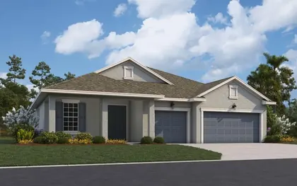 LAND O LAKES FL Home