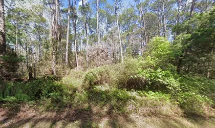 GEORGETOWN FL Property