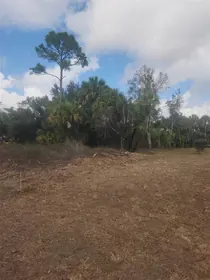 NORTH PORT FL Property