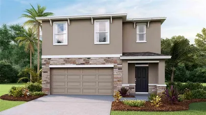 WESLEY CHAPEL FL Home