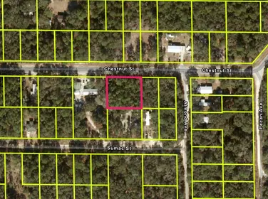 INTERLACHEN FL Property