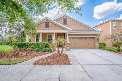 LITHIA FL Home