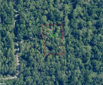 CRYSTAL RIVER FL Property
