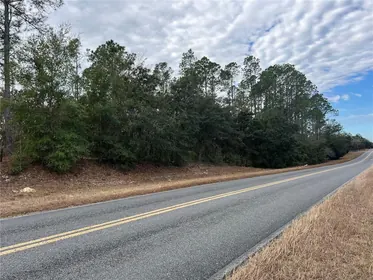 MORRISTON FL Property