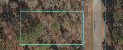 DUNNELLON FL Property