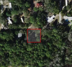 CRYSTAL RIVER FL Property