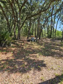 HOMOSASSA FL Property