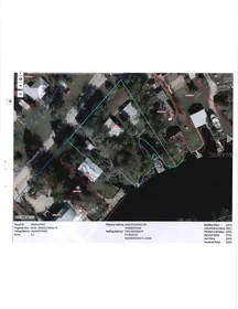 YANKEETOWN FL Property