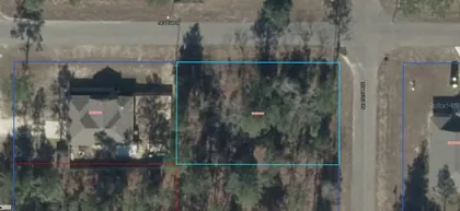 WILLISTON FL Property