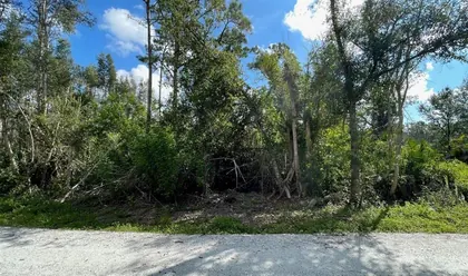 PUNTA GORDA FL Property