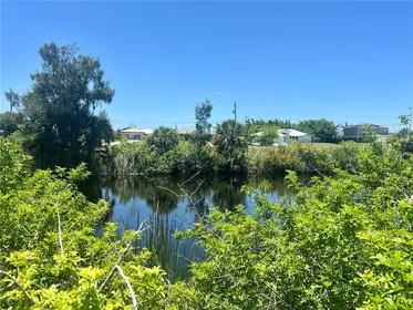CAPE CORAL FL Property