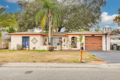 HOLIDAY FL Home