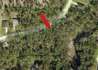 WEEKI WACHEE FL Property
