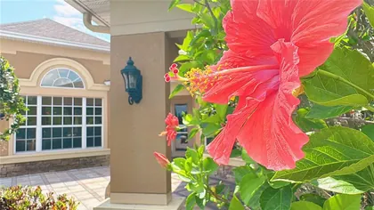 ORLANDO FL Home