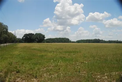 GROVELAND FL Property