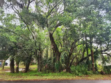 NEW SMYRNA BEACH FL Property