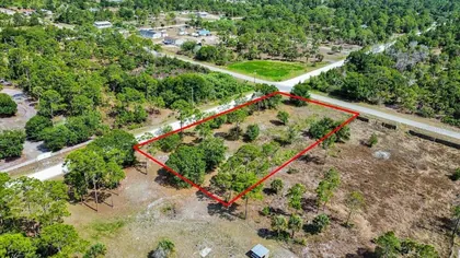 CLEWISTON FL Property