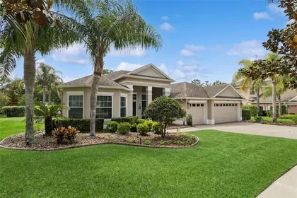MOUNT DORA FL Home