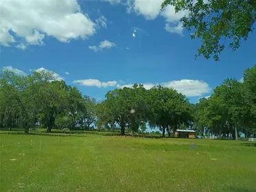 MORRISTON FL Property