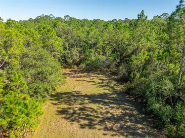 ST CLOUD FL Property